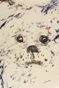 Cute Dog #1
