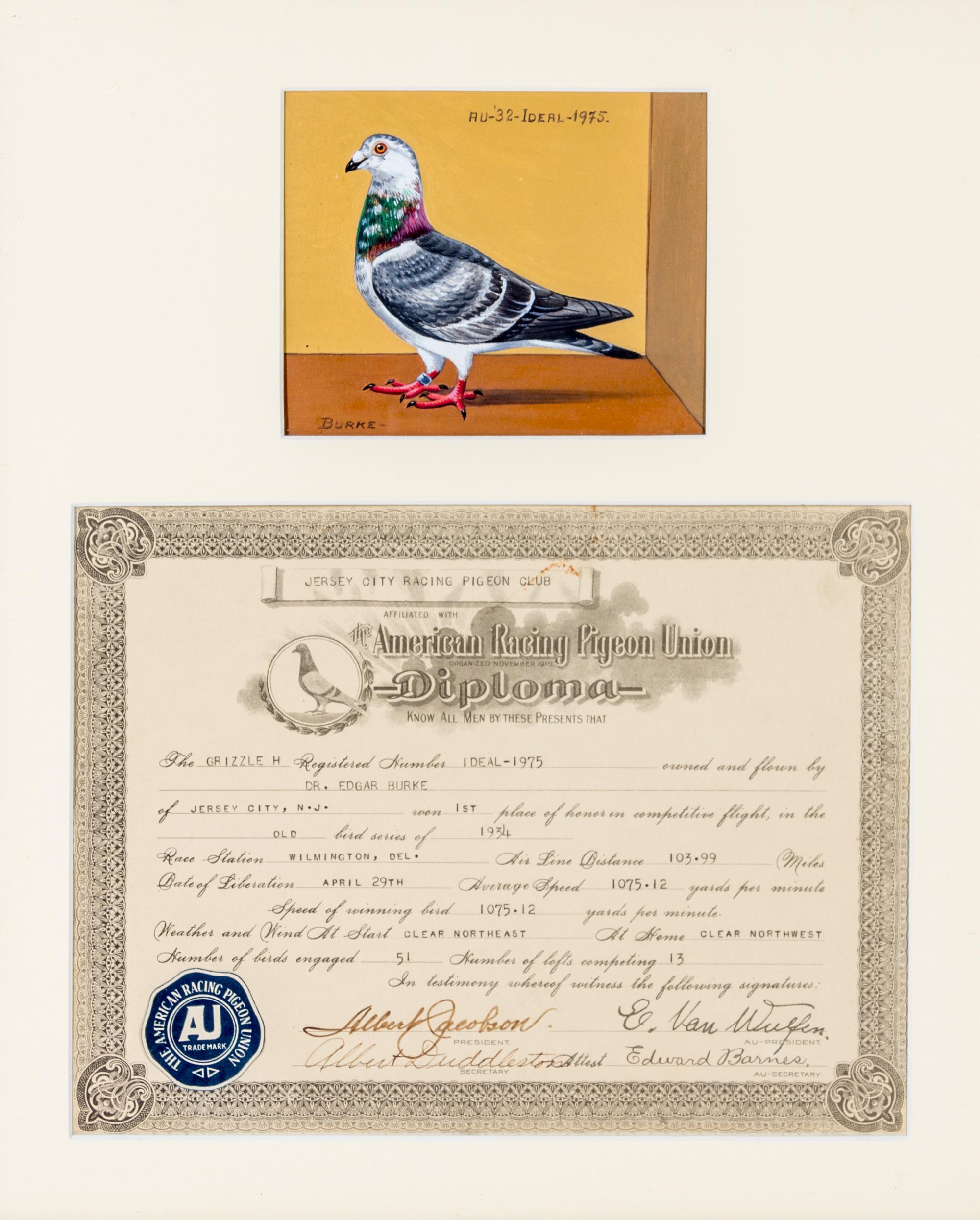 BURKE, DR. EDGAR. An archive of 12 gouache paintings of Dr. Burke's racing pigeons