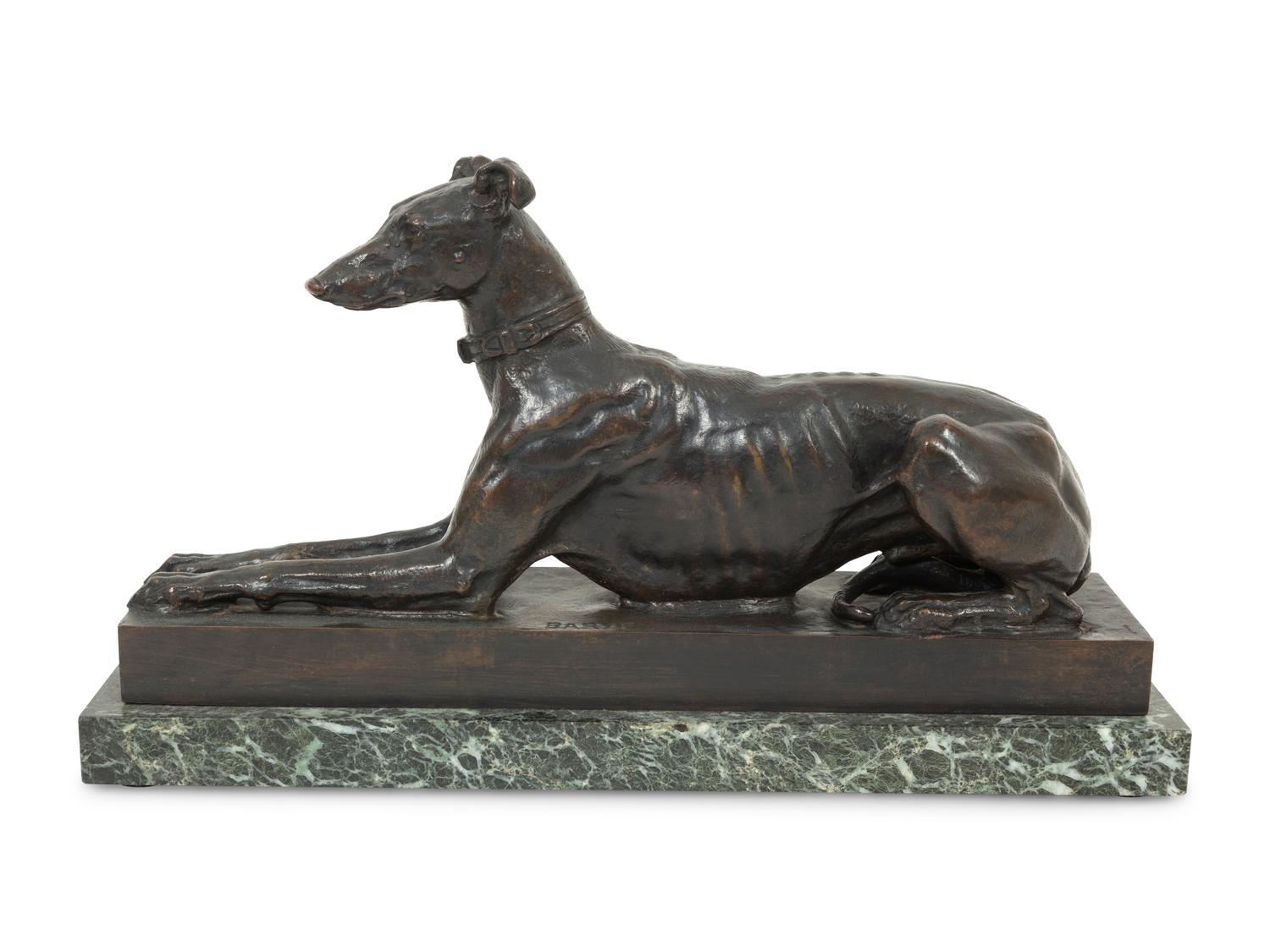 Tom, the Algerian Greyhound