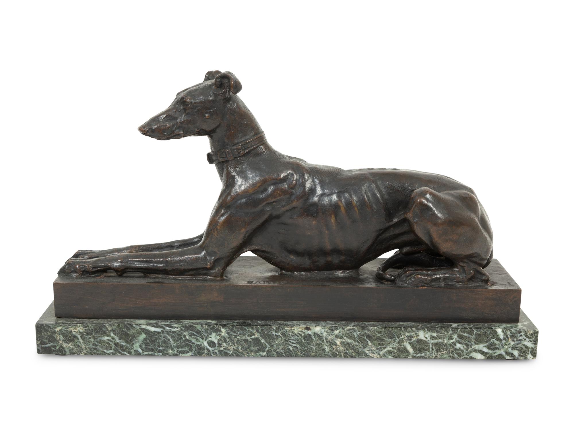 Tom, the Algerian Greyhound