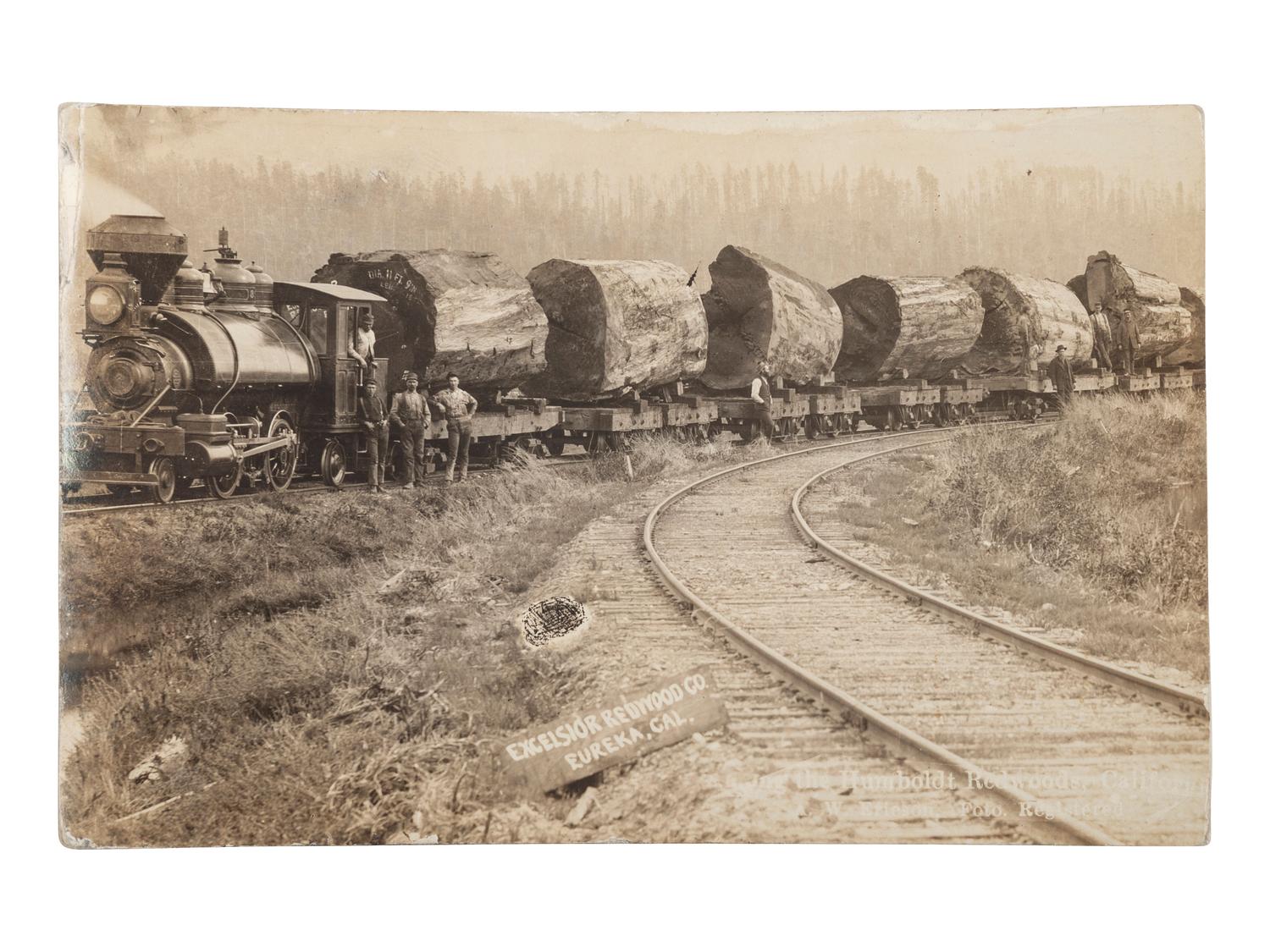 [EPHEMERA]. A group of 72 RPPCs and photographs of logging views.