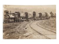 [EPHEMERA]. A group of 72 RPPCs and photographs of logging views.