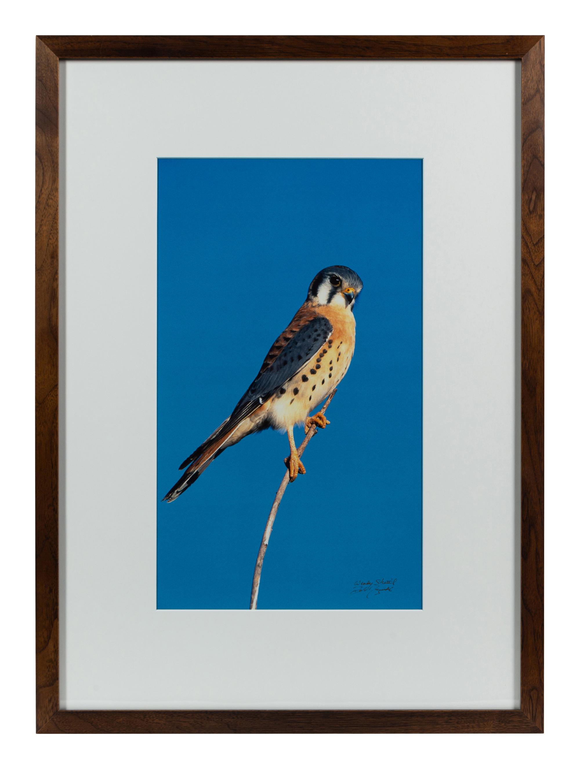 Prairie Vision: Images from a Sea of Grass (2002) Twenty Color Photographs