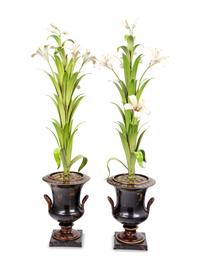A Pair of Tôle Models of Lilies in Campagna Urns