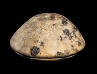 An Egyptian Diorite Bowl
