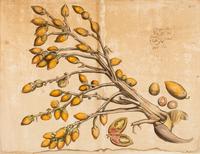 Hendrik Adriaan van Rheede tot Drakenstein, publisher (Dutch, active ca 1678-1693). 6 engraved plates from Hortus Indicus Malabaricus . [Amsterdam, ca 1686].