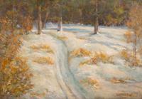 Winter Landscape