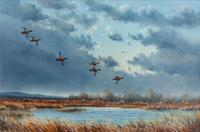 Wild Geese