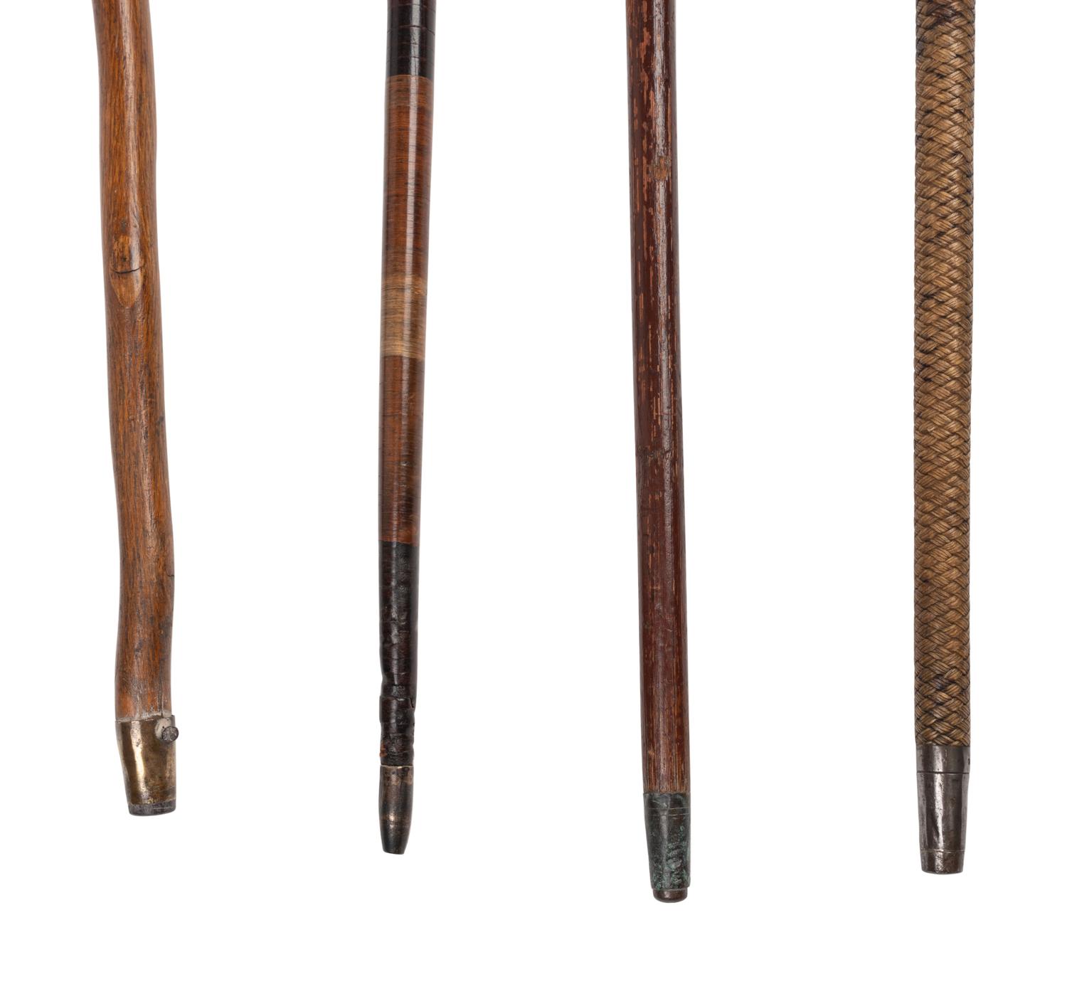A Group of Eight Canes and Walking Sticks