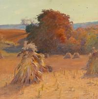 Cornshock (Saffron Sky)