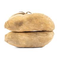 Plateau Beaded Hide Soft-Soled Moccasins