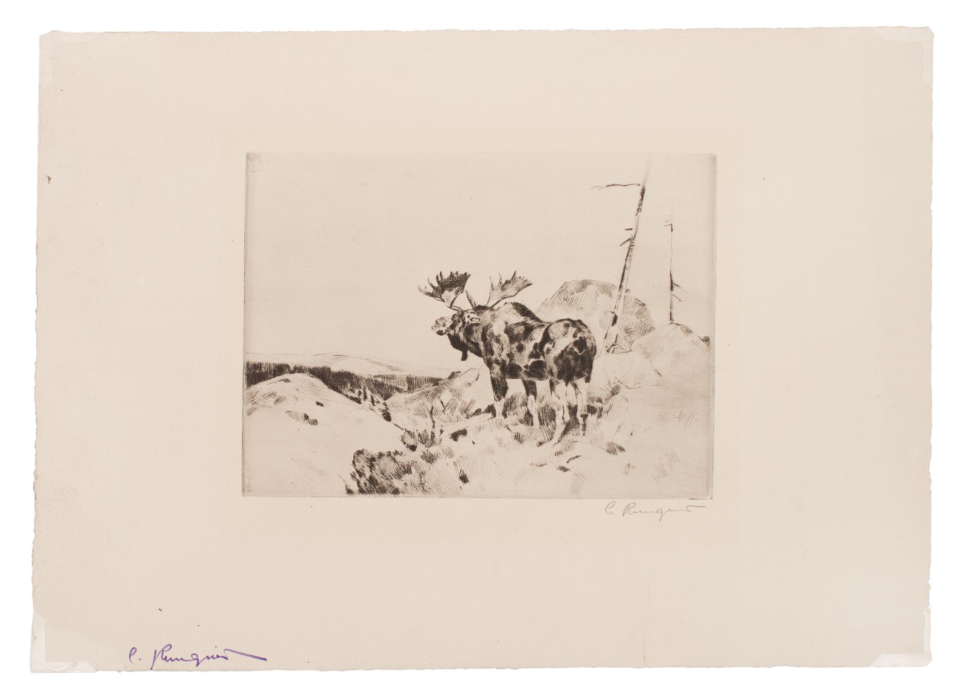 Answer from the Barren