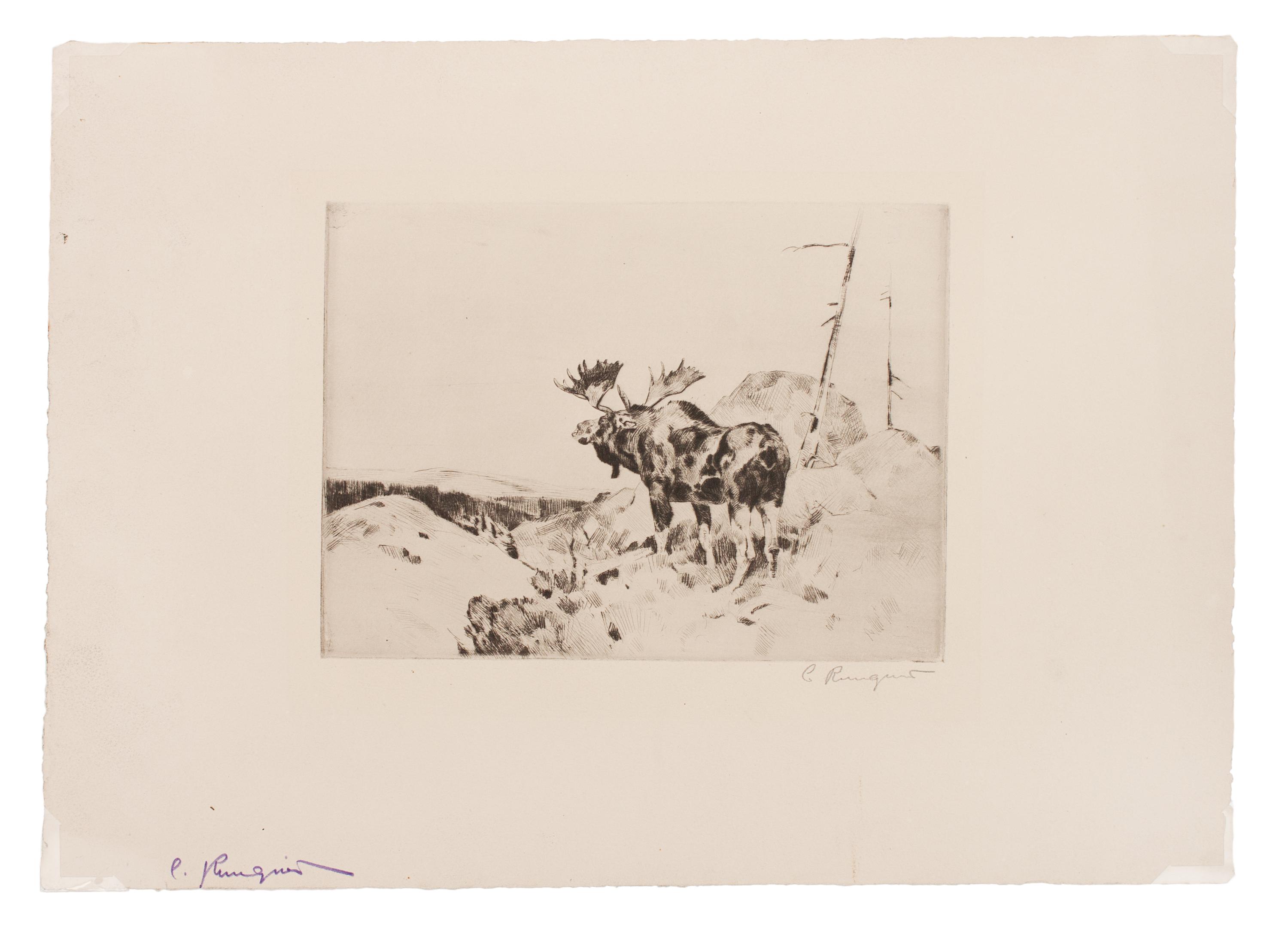 Answer from the Barren