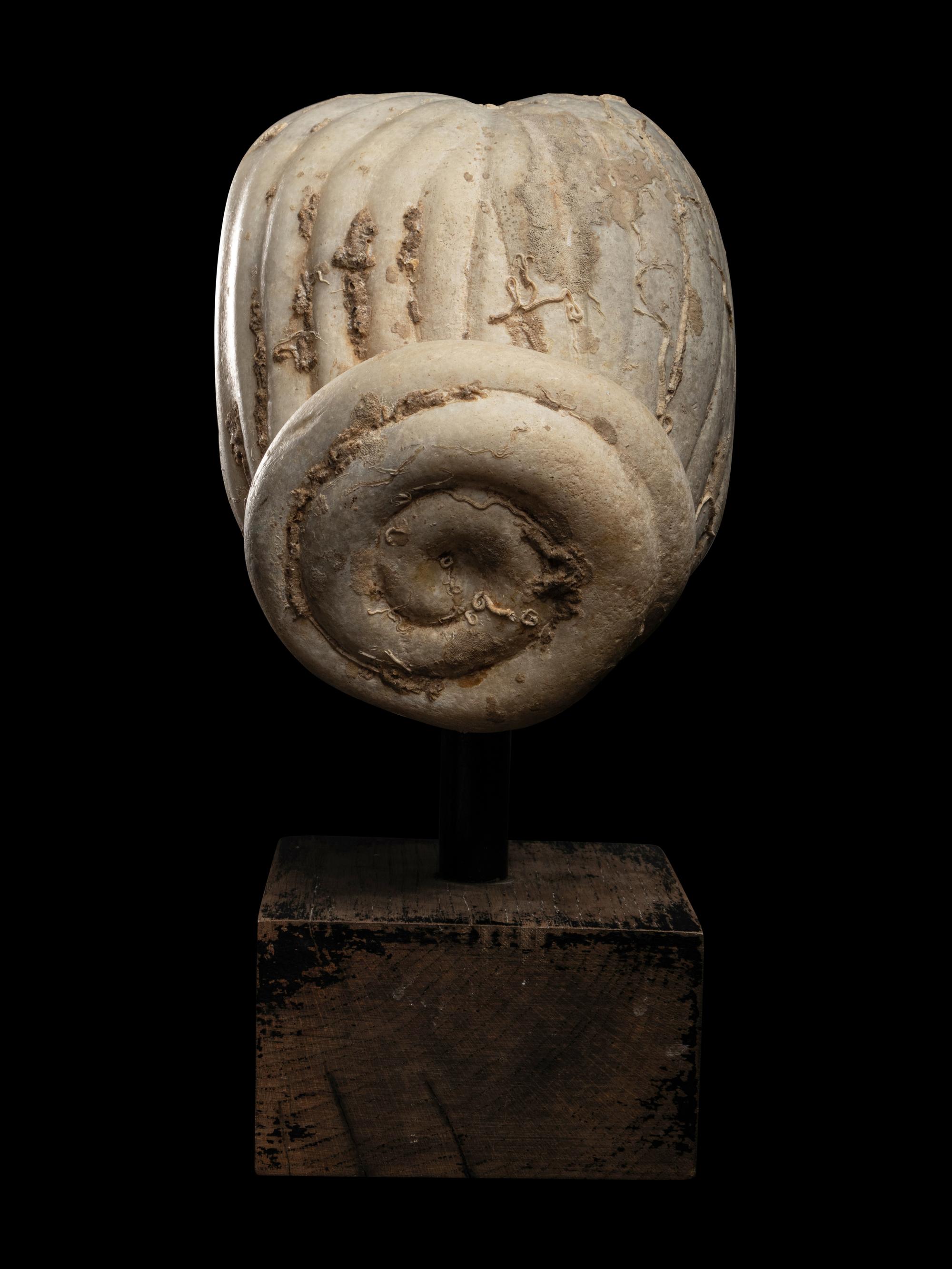 An Eastern Roman Marble Portrait Head