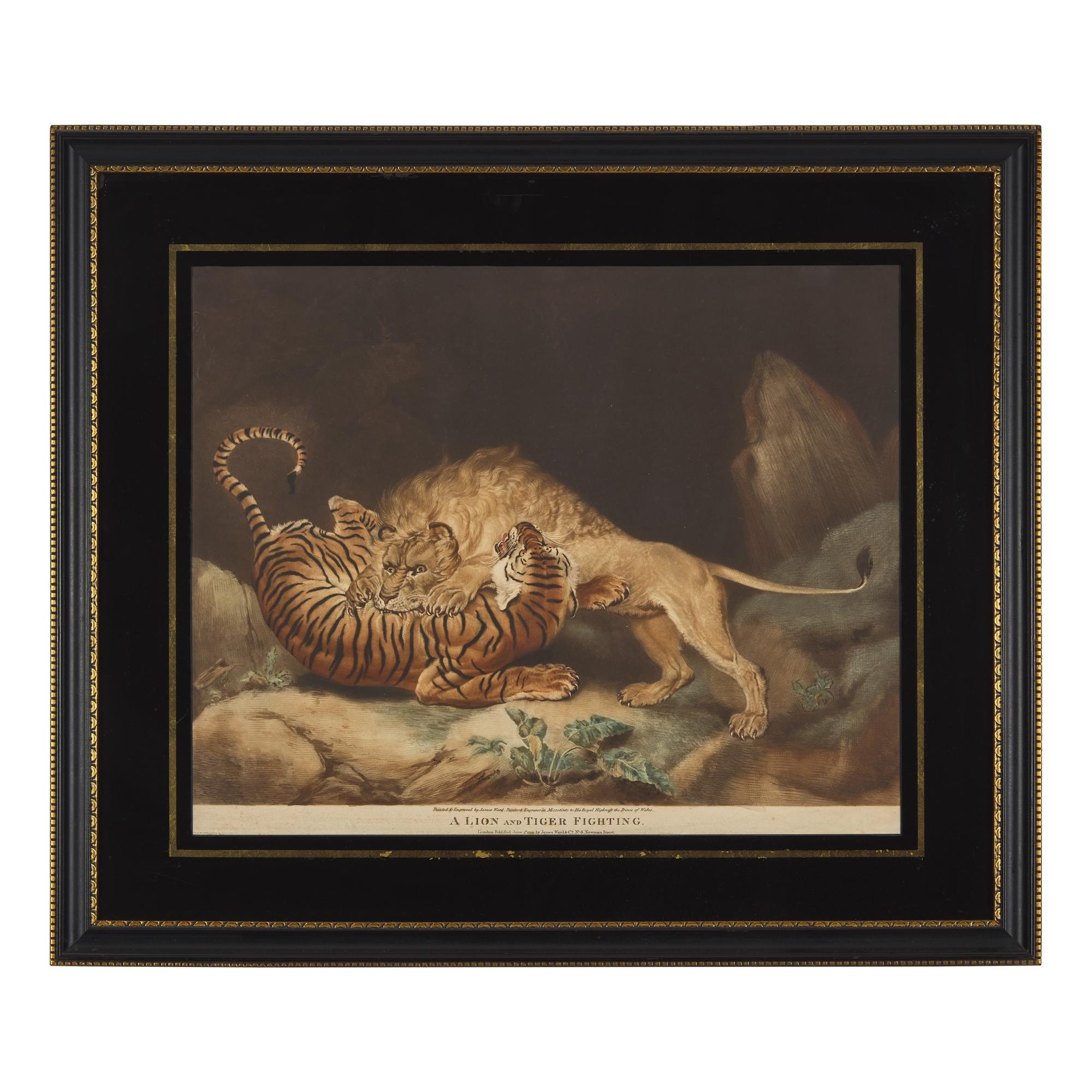 James Ward & Co. A Lion and Tiger Fighting Handcolored Mezzotint