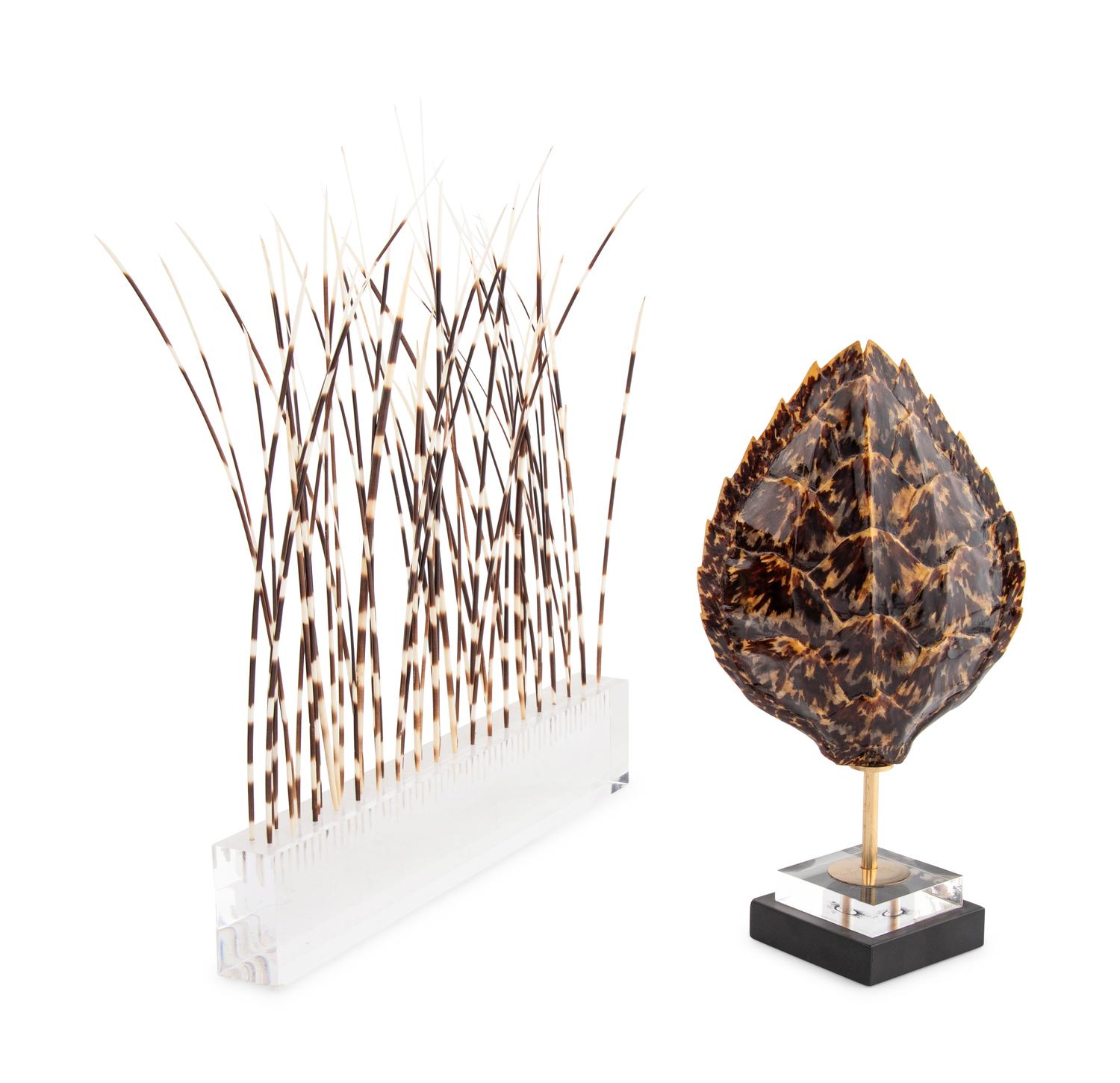 A Faux Tortoise Shell and a Group of Porcupine Quills in an Acrylic Stand