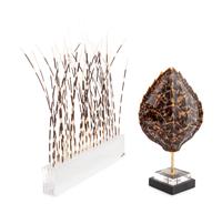 A Faux Tortoise Shell and a Group of Porcupine Quills in an Acrylic Stand