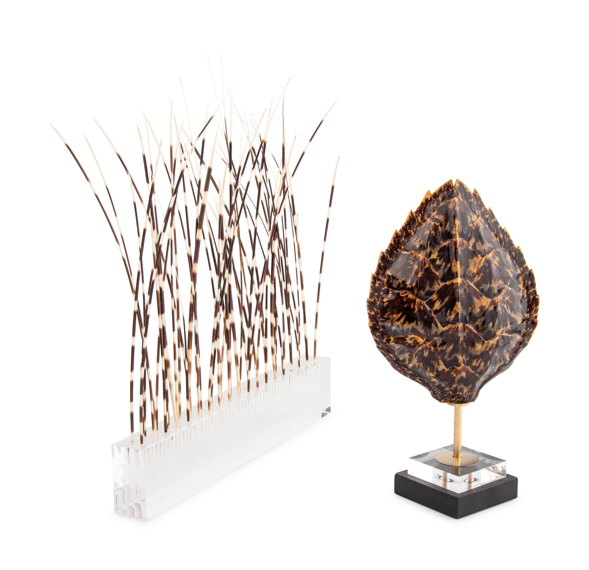 A Faux Tortoise Shell and a Group of Porcupine Quills in an Acrylic Stand