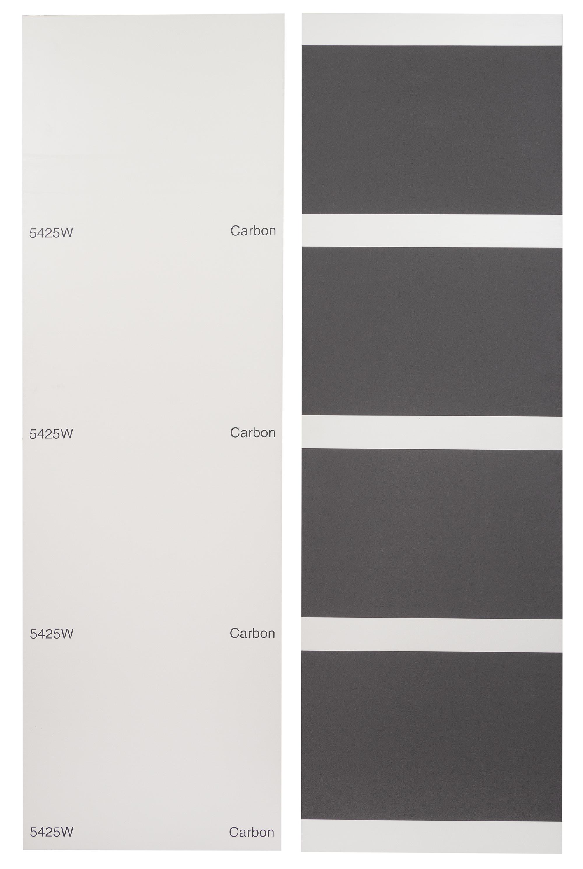 Carbon/Carbon/Carbon/Carbon,