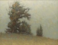 Reaching of the Pines, 2004