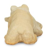 Bear with Fish