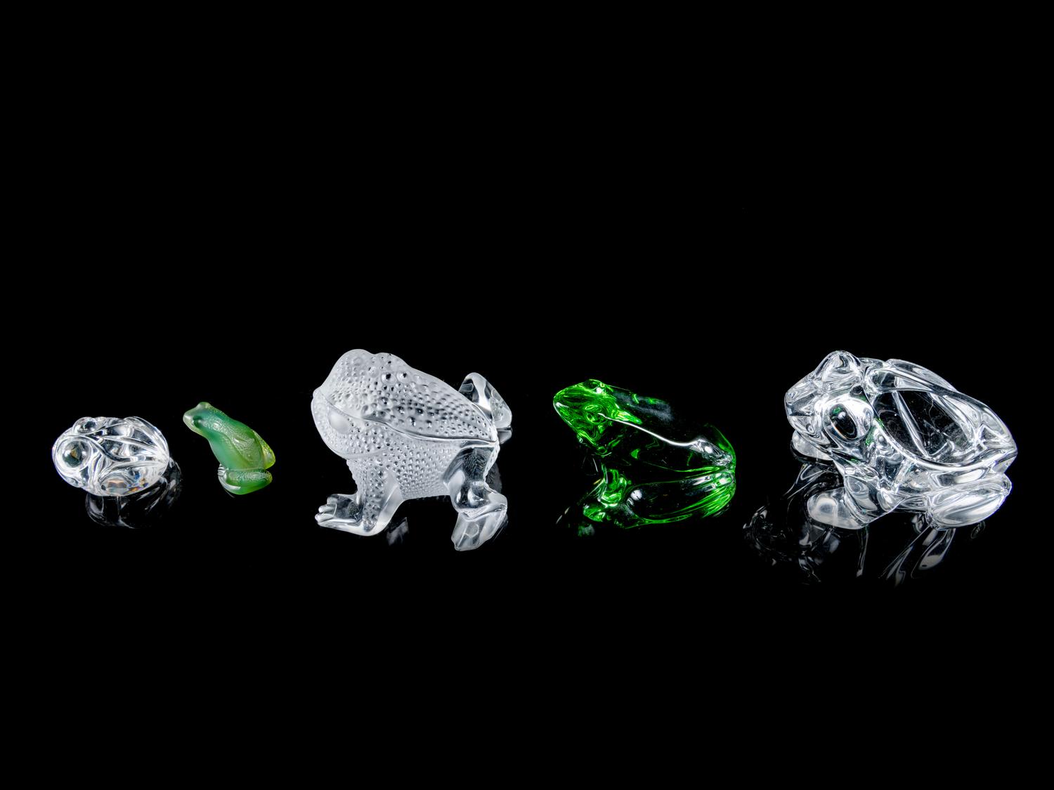 A Group of Five Glass Frogs