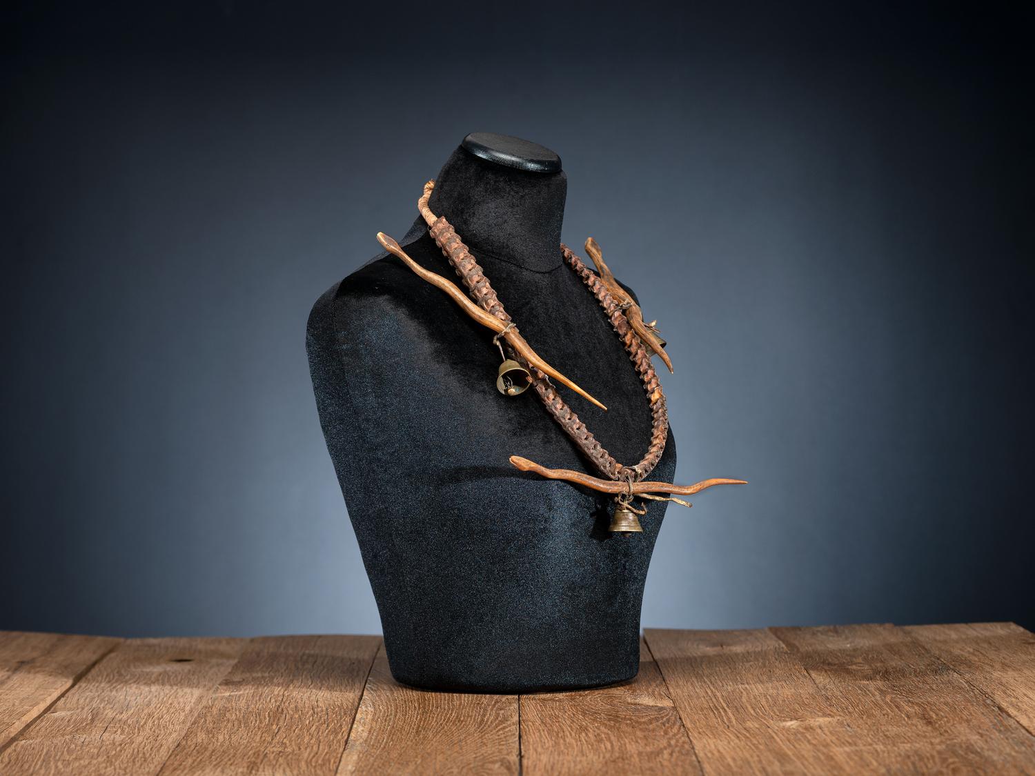 Pueblo Snake Vertebrae Necklace