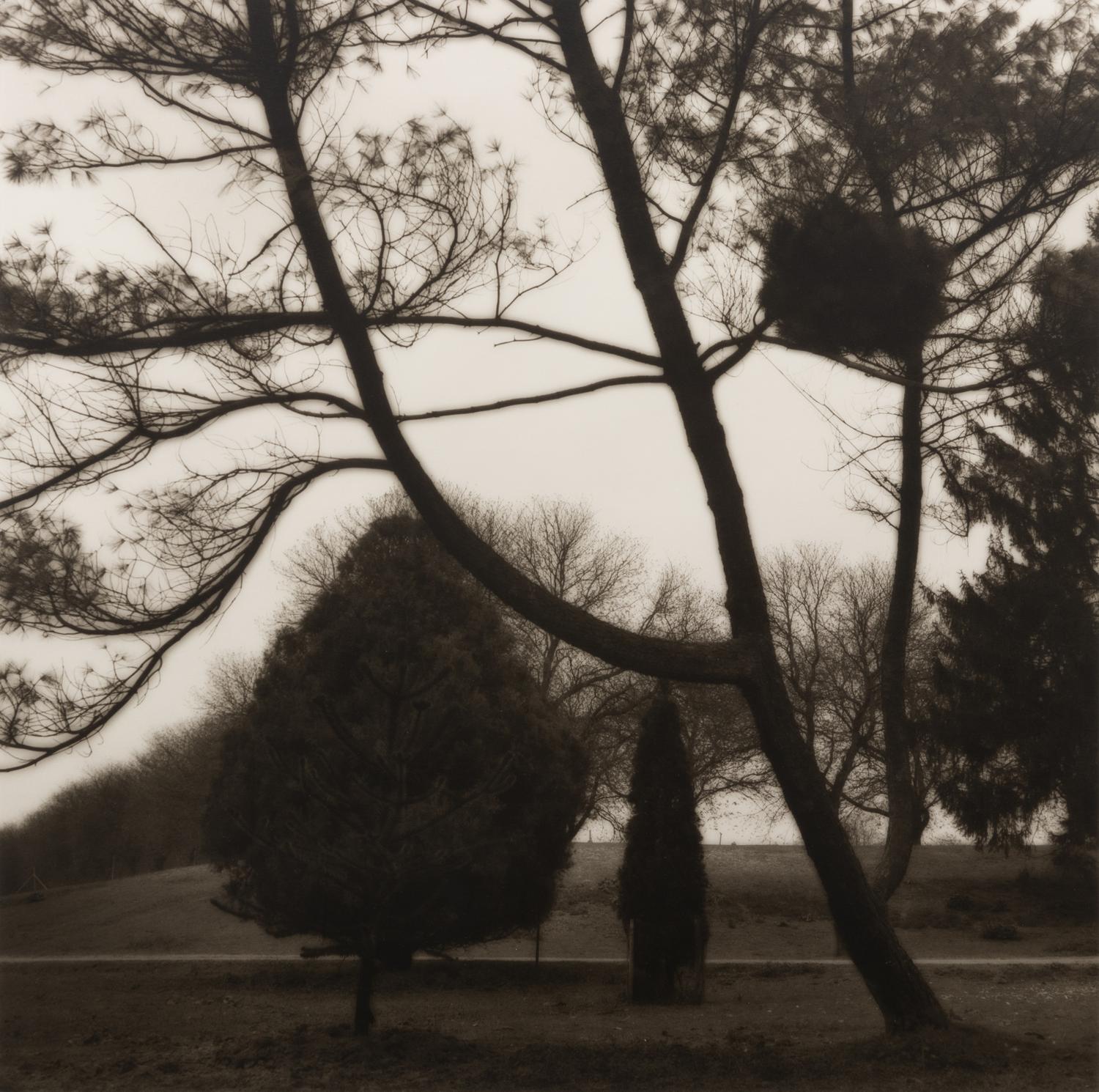Aboretum de Chevreloup