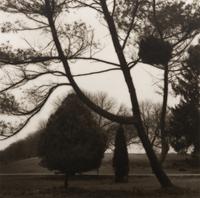 Aboretum de Chevreloup