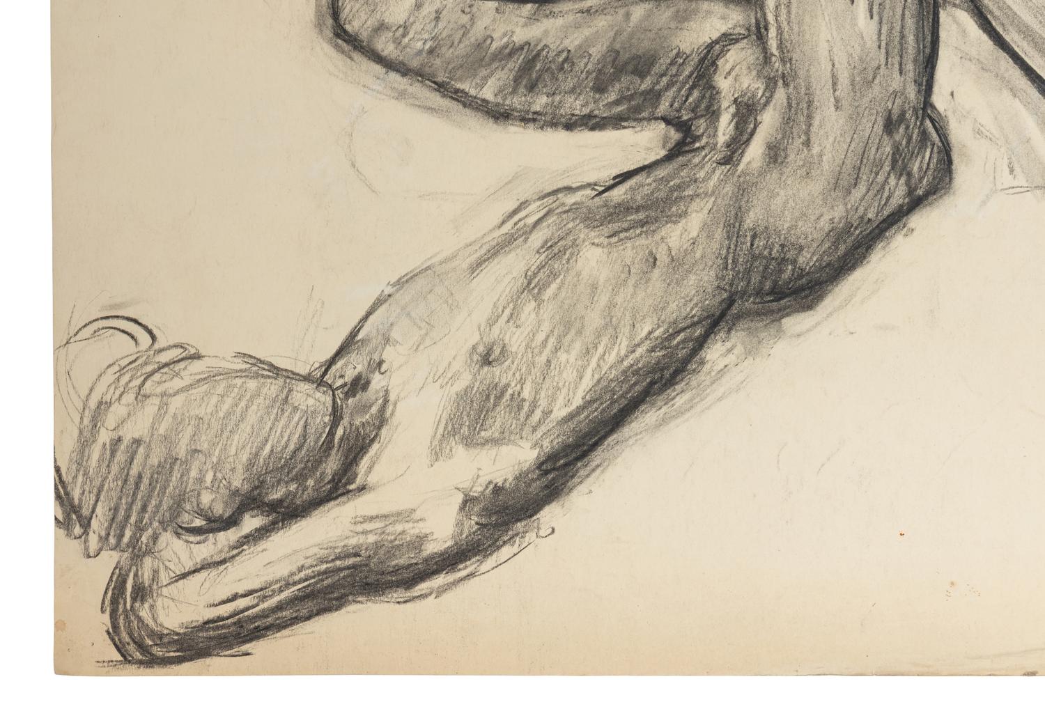 Male Nude Lying on His Back , 1951