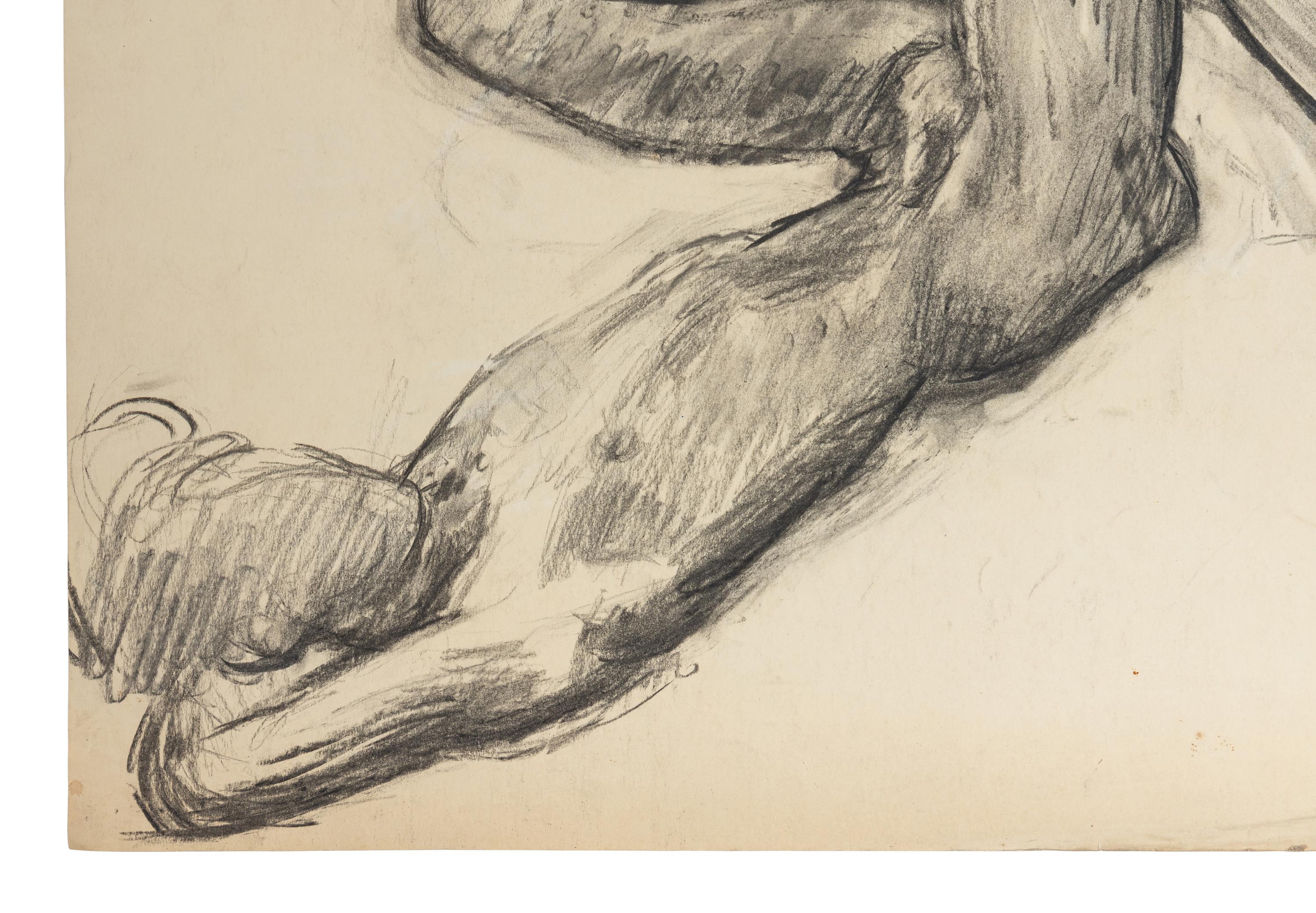 Male Nude Lying on His Back , 1951