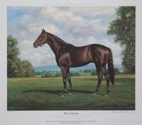 Nineteen Equestrian Prints
