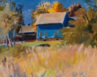 The Sky Colored House