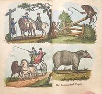 [Children's & Illustrated] (Darton, William). A Present For A Little Boy