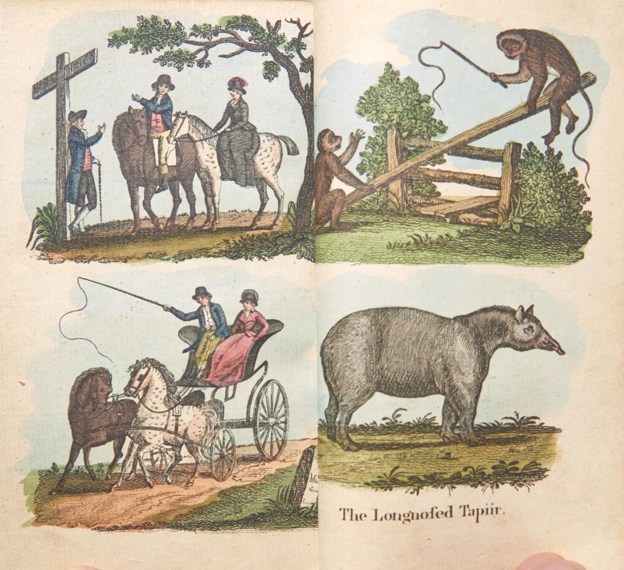 [Children's & Illustrated] (Darton, William). A Present For A Little Boy