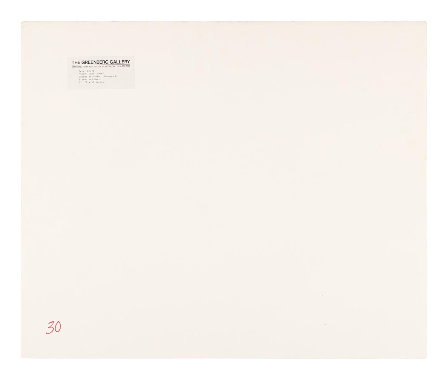 Tsavo Park (from "The End of the Game ), 1976-1977