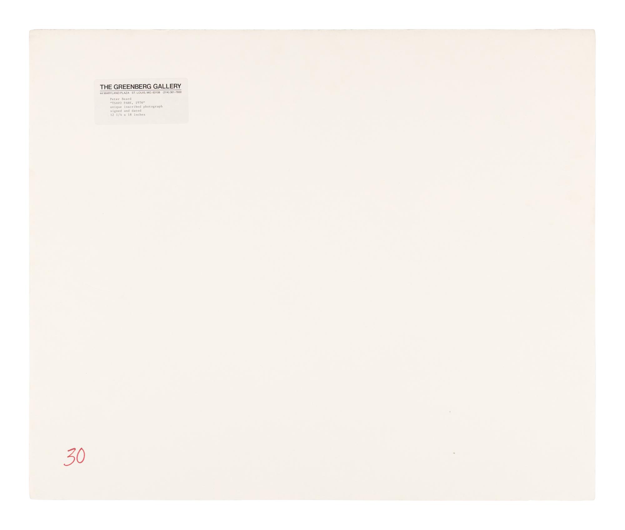 Tsavo Park (from "The End of the Game ), 1976-1977