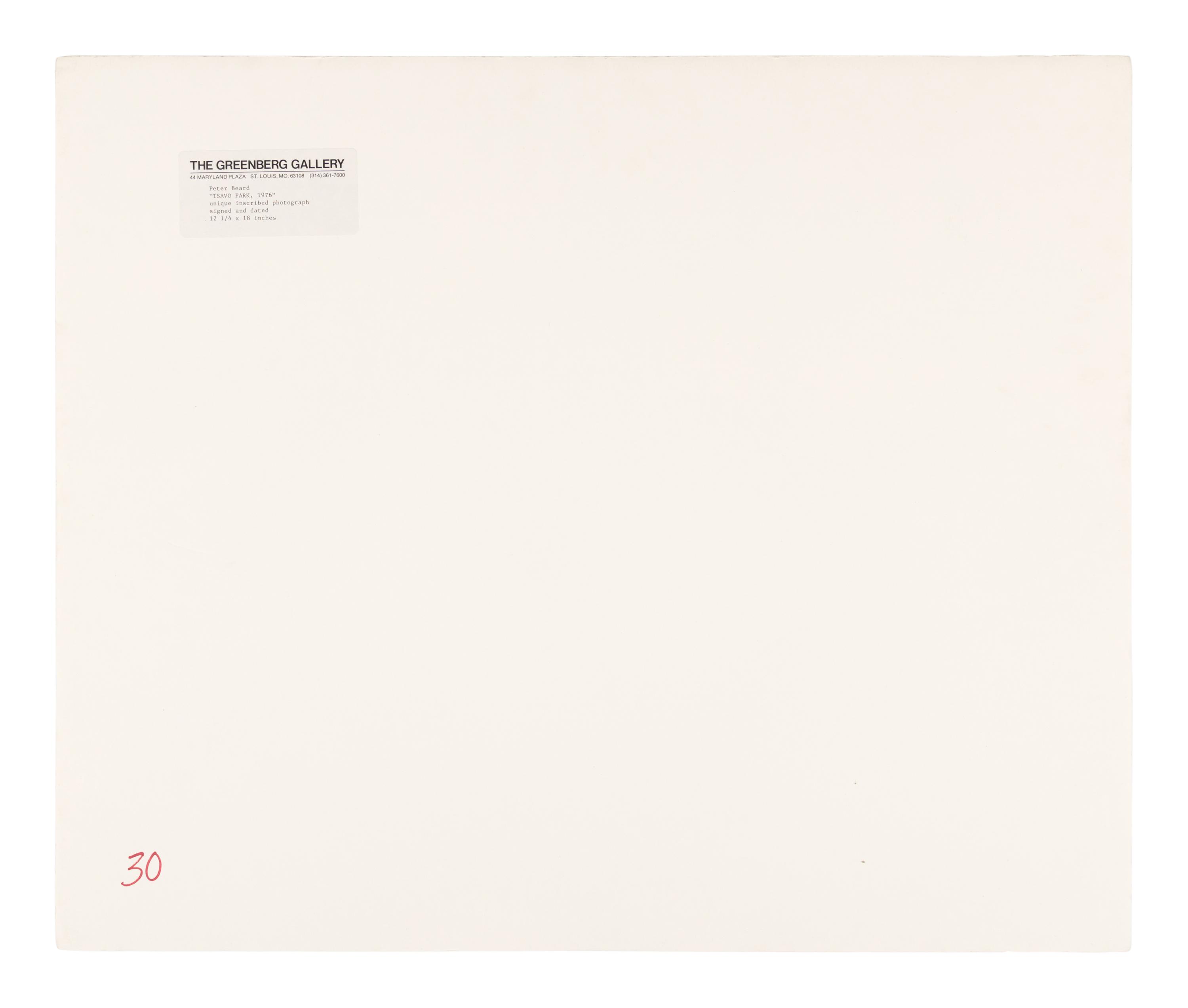 Tsavo Park (from "The End of the Game ), 1976-1977