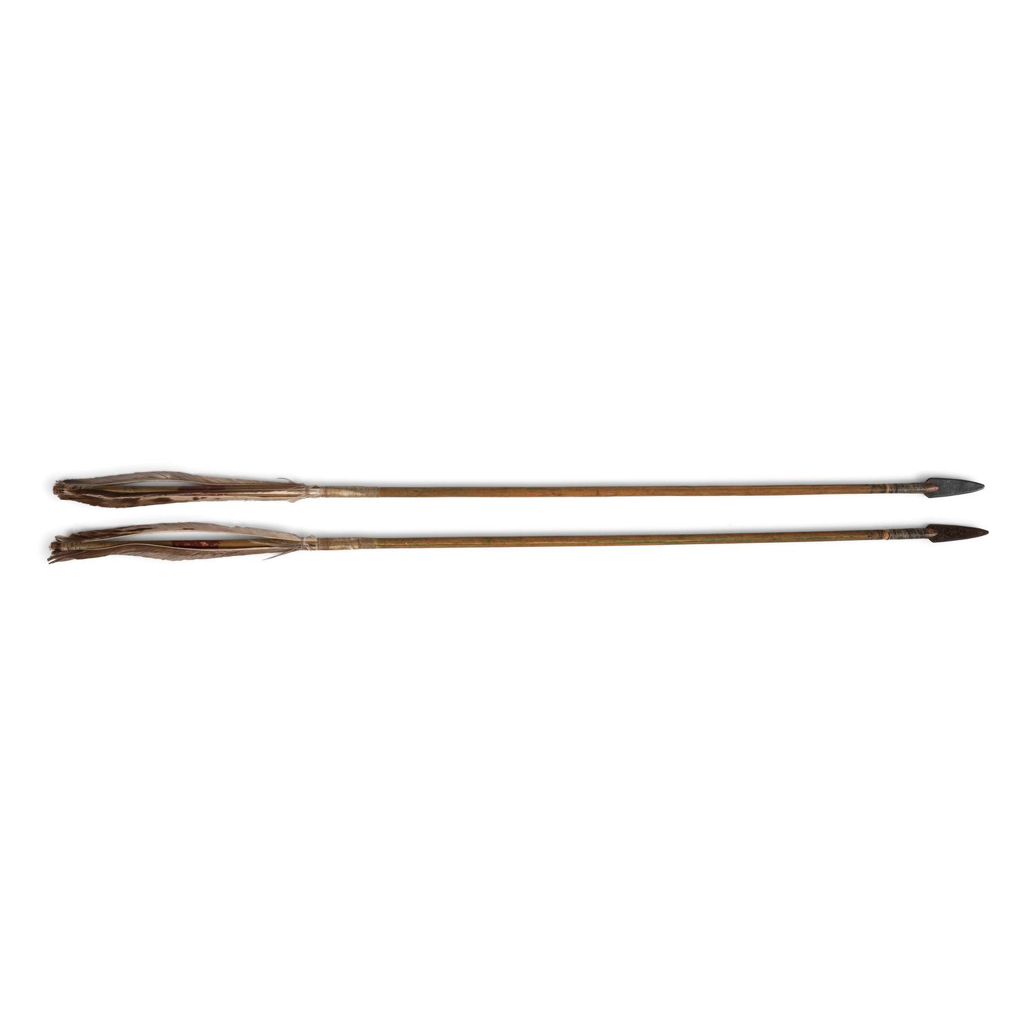 Pair of Plains Matched Arrows