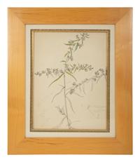 Eighteen Botanical Watercolors