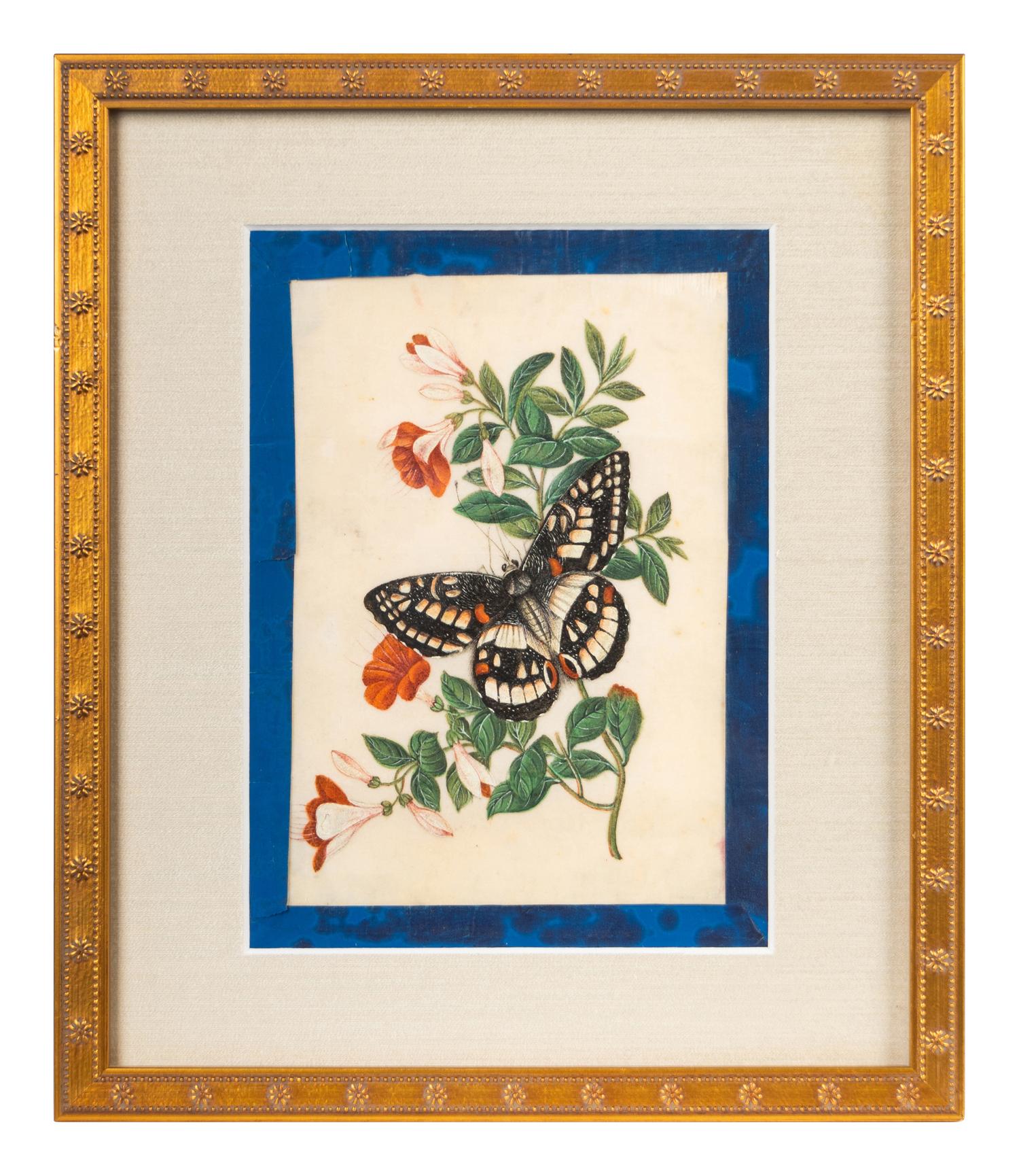 A Group of Six Chinese Pith Paintings of Butterflies and Flowers — 19TH/20TH CENTURY
