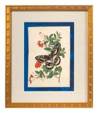 A Group of Six Chinese Pith Paintings of Butterflies and Flowers — 19TH/20TH CENTURY