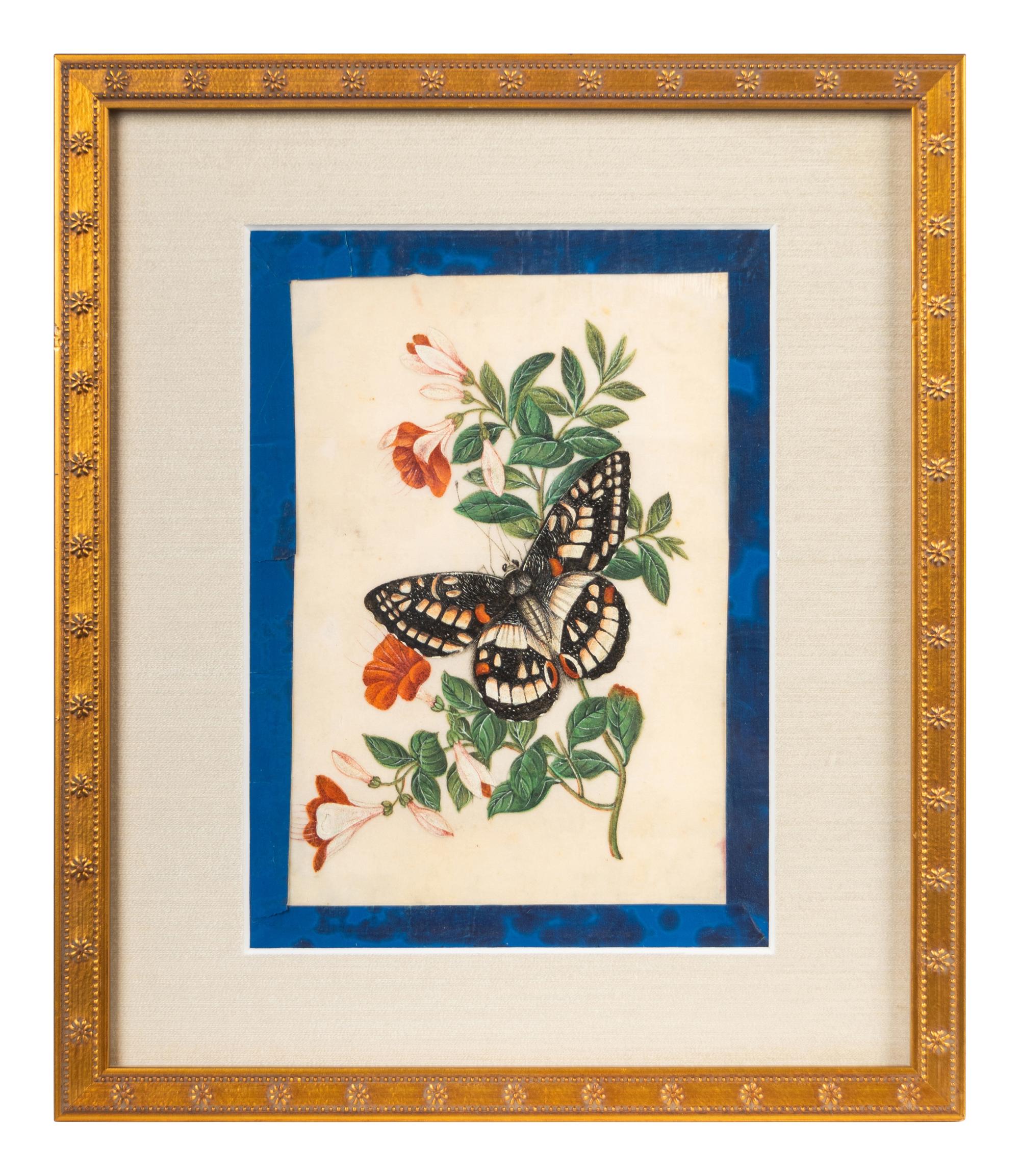 A Group of Six Chinese Pith Paintings of Butterflies and Flowers — 19TH/20TH CENTURY