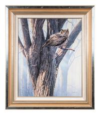 Great Horned Owl