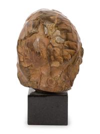 Marie - Study for Sacagawea , number 8