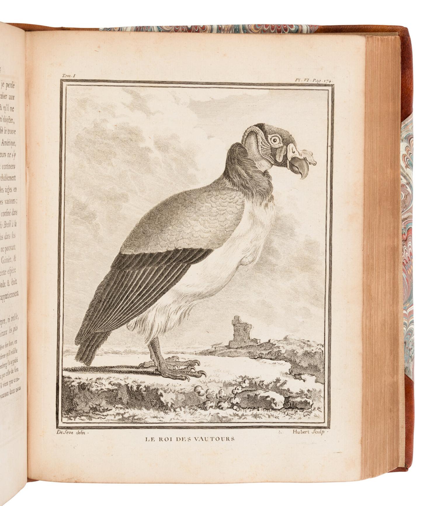 [NATURAL HISTORY]. BUFFON, Georges Louis Leclerc, Comte de (1707-1788). Buffon's Natural History Containing a Theory of the Earth, a General History of Man... London: Printed for the Proprietor and Sold by H.D. Symonds, 1797.