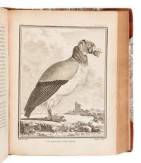 [NATURAL HISTORY]. BUFFON, Georges Louis Leclerc, Comte de (1707-1788). Buffon's Natural History Containing a Theory of the Earth, a General History of Man... London: Printed for the Proprietor and Sold by H.D. Symonds, 1797.