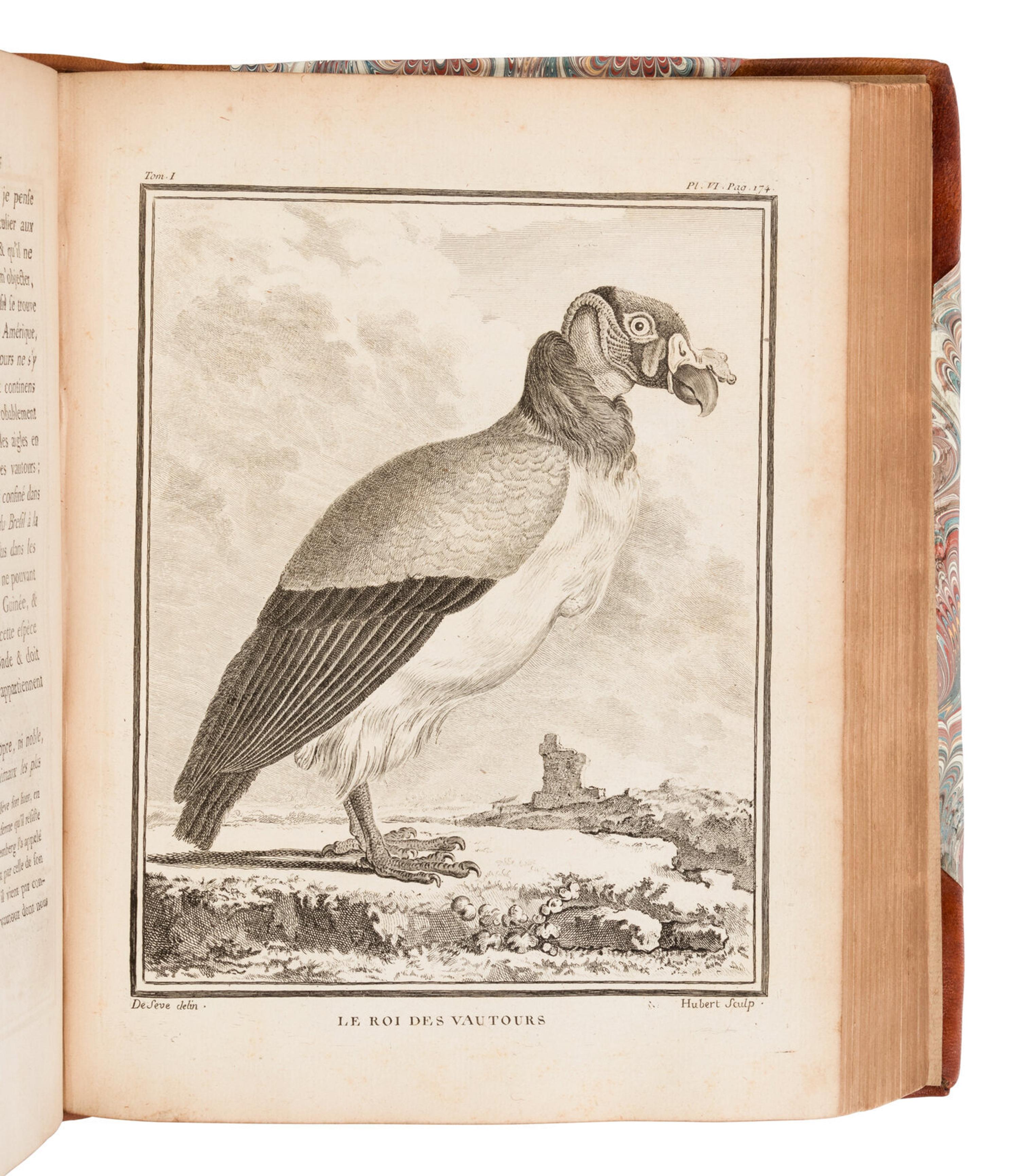 [NATURAL HISTORY]. BUFFON, Georges Louis Leclerc, Comte de (1707-1788). Buffon's Natural History Containing a Theory of the Earth, a General History of Man... London: Printed for the Proprietor and Sold by H.D. Symonds, 1797.