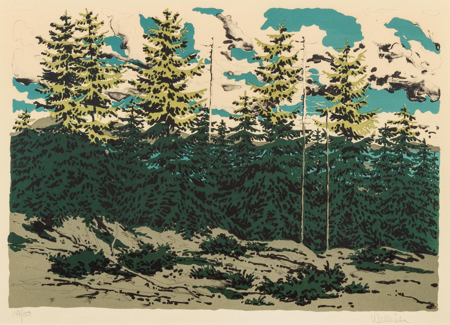 Maine Landscape