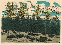 Maine Landscape